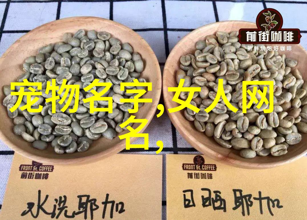 绚丽的音符好听名字背后的故事