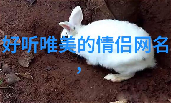 悬挂式输送机的应用与优势探究