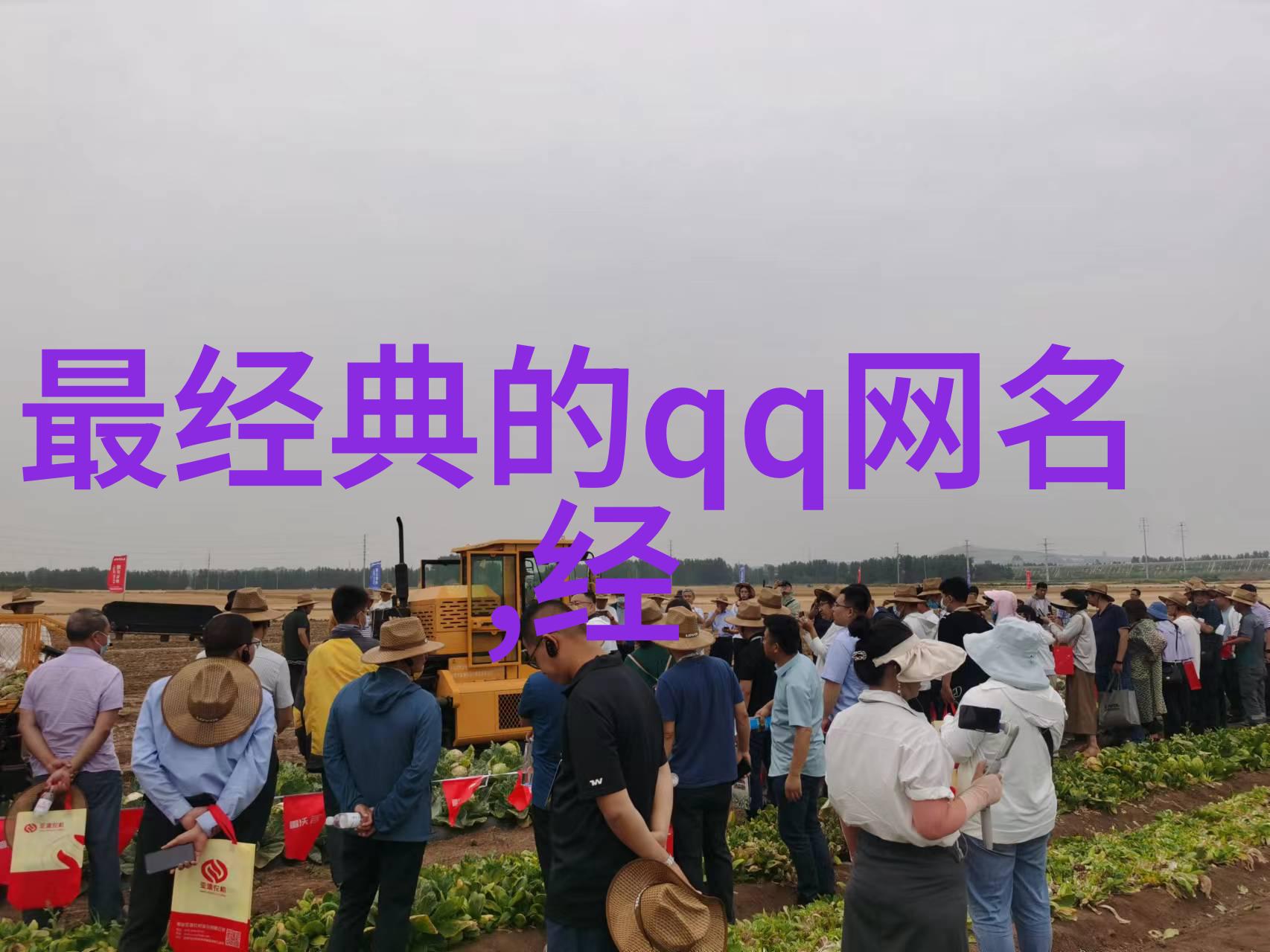 云端的轻语探索那些意境美好却不为人知的网名世界