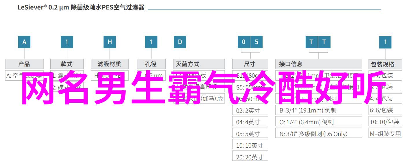 心灵之网女强者隐匿的力量