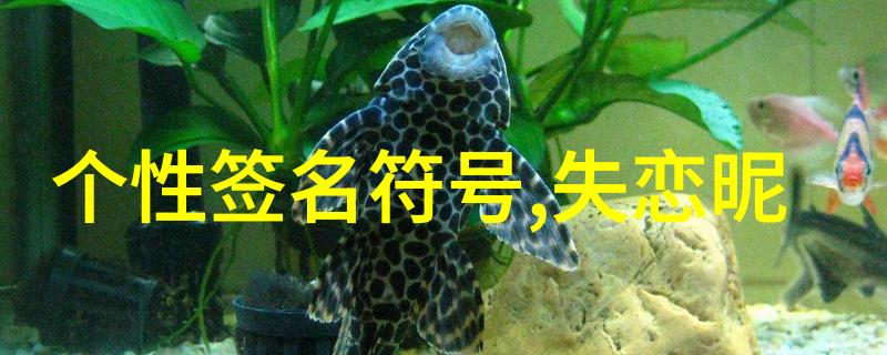 从零到英雄打造独特而吸引人的干净好听网名