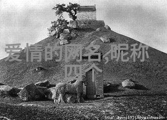 节能减排绿色生产高效能源管理方法