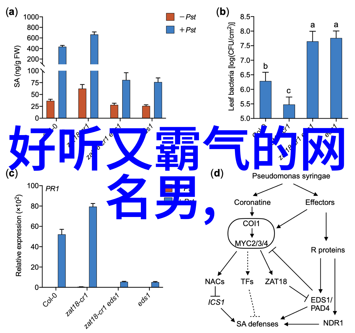 一生情深媽莪的彵之恋