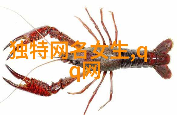 我和我的小小COISINI梦想