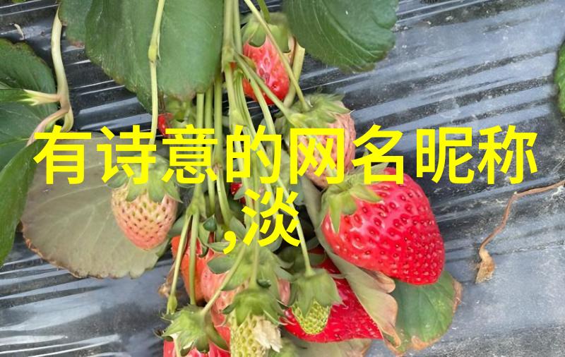 唯美网名女生-梦幕下的诗人探索女性在网络世界中的美丽自我表达