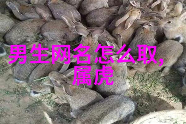 岁月静好35岁有韵味男人的网名探索