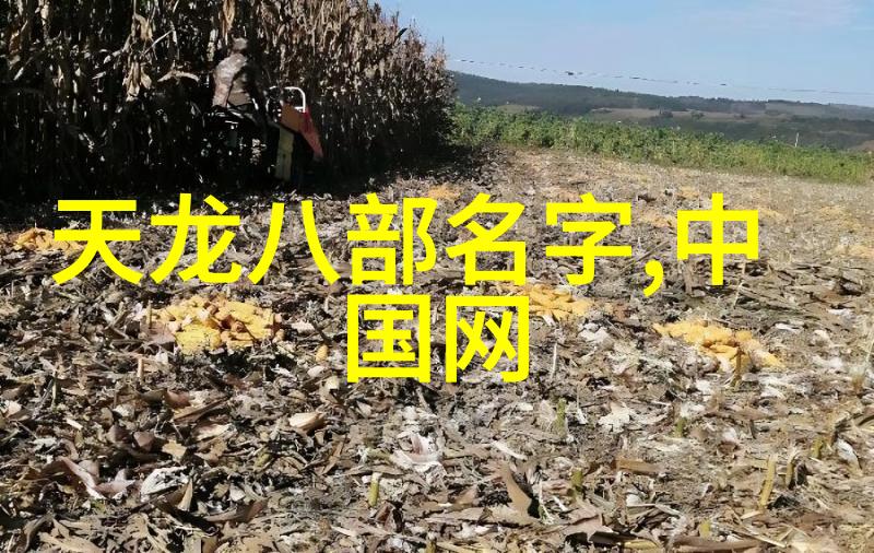 在数字海洋中航行为什么选择一个清雅的网络名字