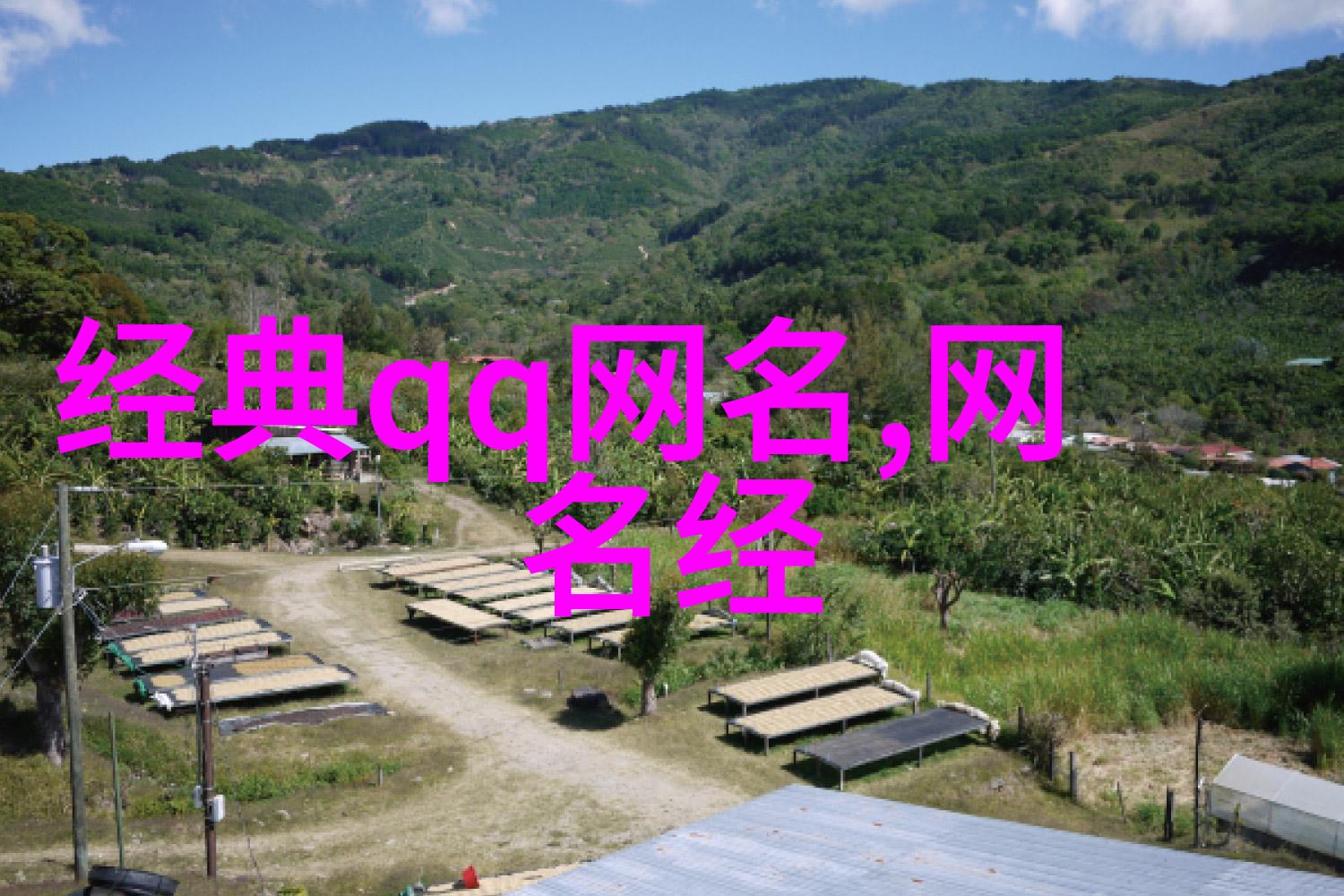 71个2020最火女网名简单好听(最火网名女士版)