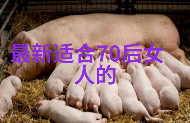 稳健发展还是一夜成名两种生活方式对比分析