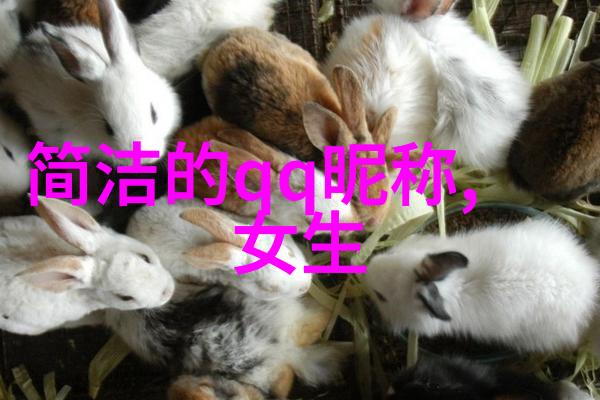 王者荣耀中的奇迹名字寻找那一份独特的光芒