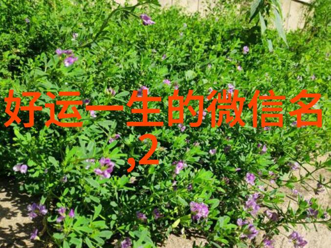 个性霸气网名大全探索TFBOYS王源的网络风采