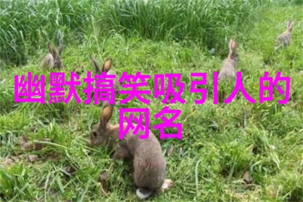夜幕下的诗人探索好听又冷门小众的ins风网名