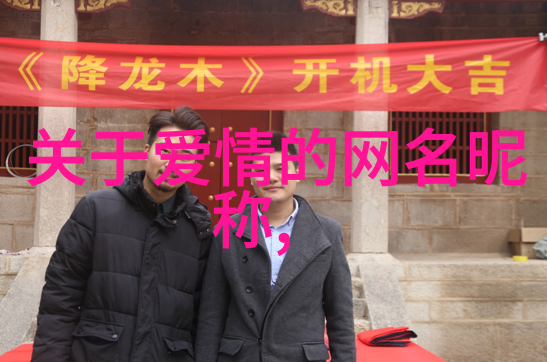 家用电器-冰镇清爽探索冷水壶的魅力与选择