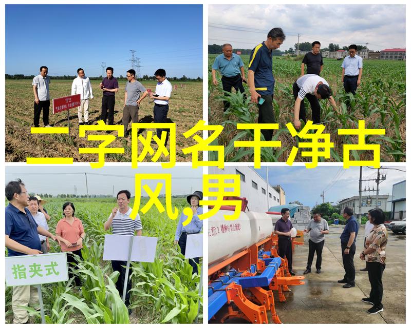 霸气高冷的她繁体字女昵称的魅力探索