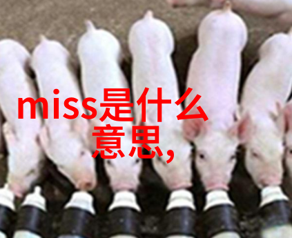 古韵绕梁男楚辞女诗经的名字之美