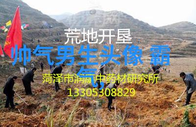 幽默满分这些网名让人忍俊不禁