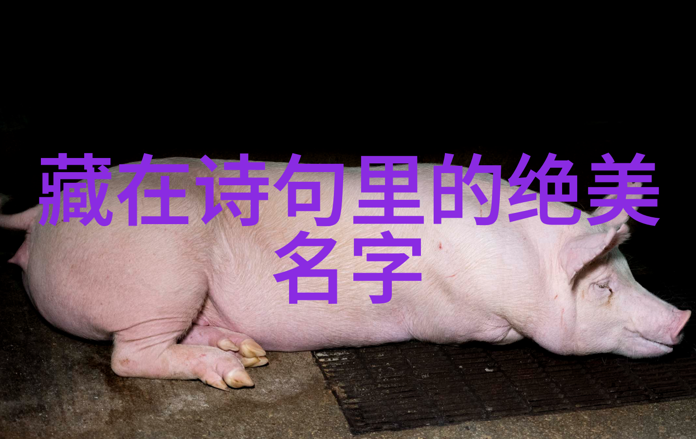 id小众且高级伤感-哀愁的边界探索那些不为人知的悲伤艺术