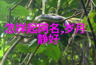 光年末路尽头花文艺网名女生简约气质