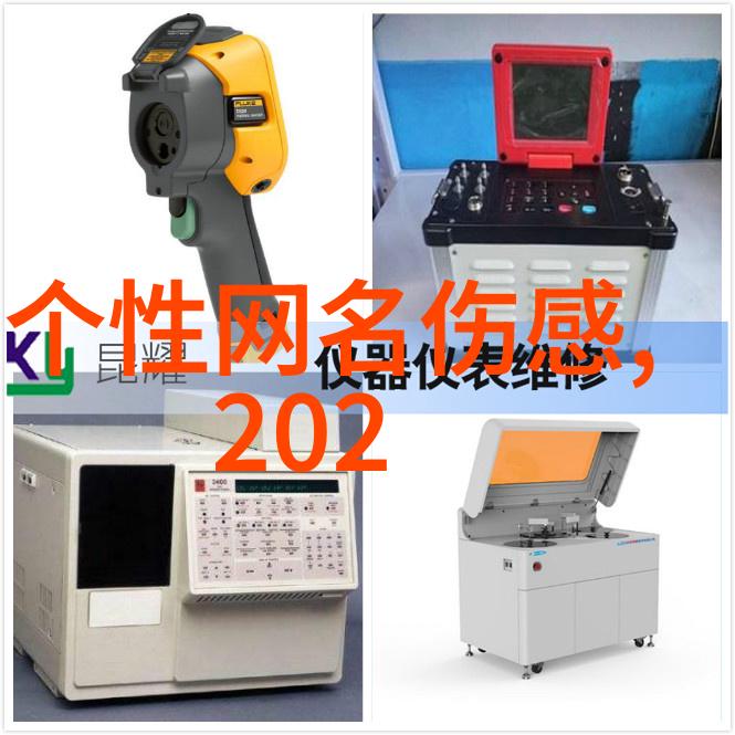 情感之网心灵深处的励志征程