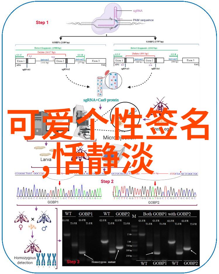 夫妻情深共度时光幸福甜婚纪