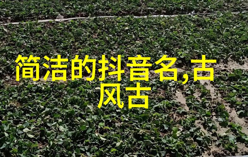 未来科技与古典美学的融合2023年高端网名研究