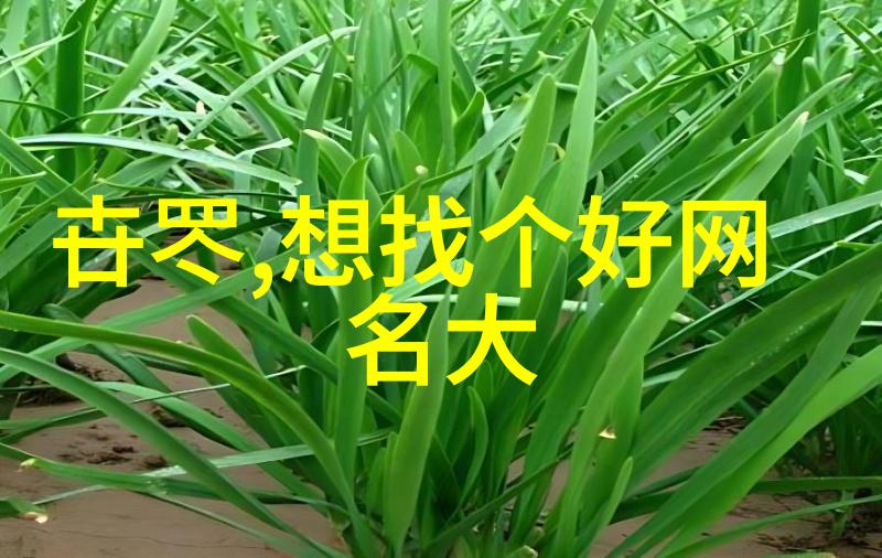 水的比热容解读水分子热能存储之谜