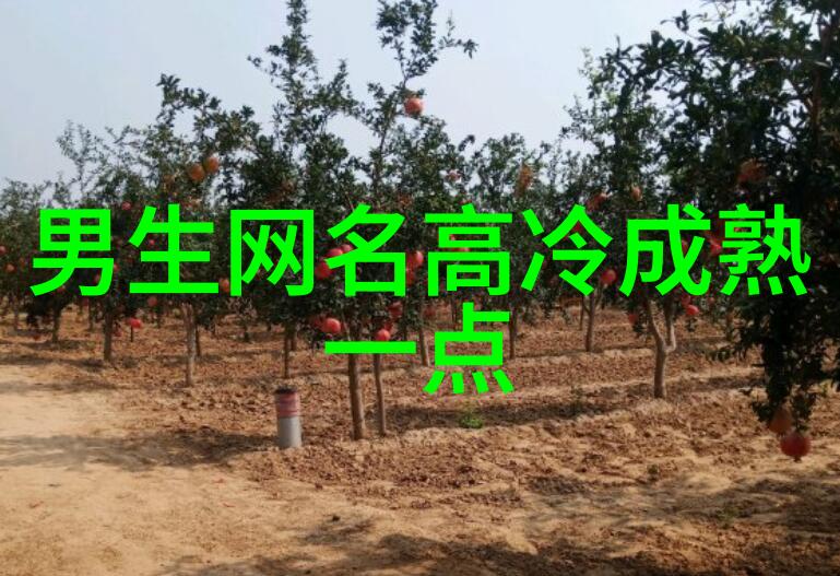 网络之巢2020温柔网名的秘密