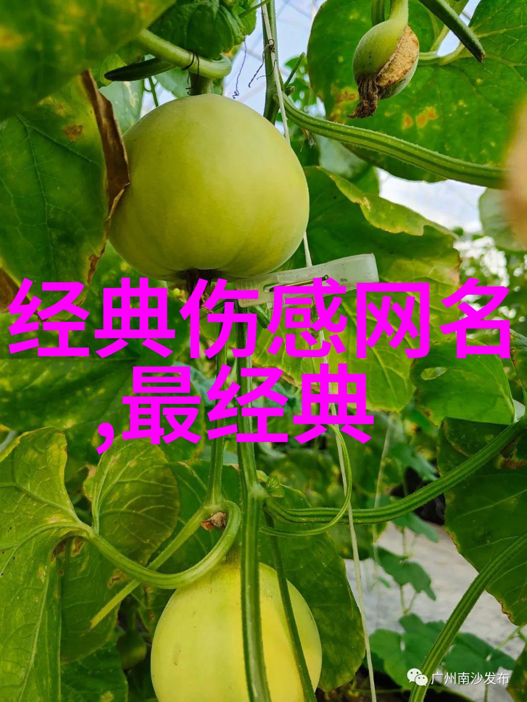 情感表达-繁体字伤感网名泪水中的文字艺术