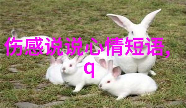 情感与文化-伤感英文名背后的故事和选择意义