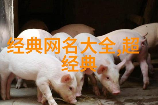 情侣QQ网名的浪漫故事甜蜜与创意的交响曲