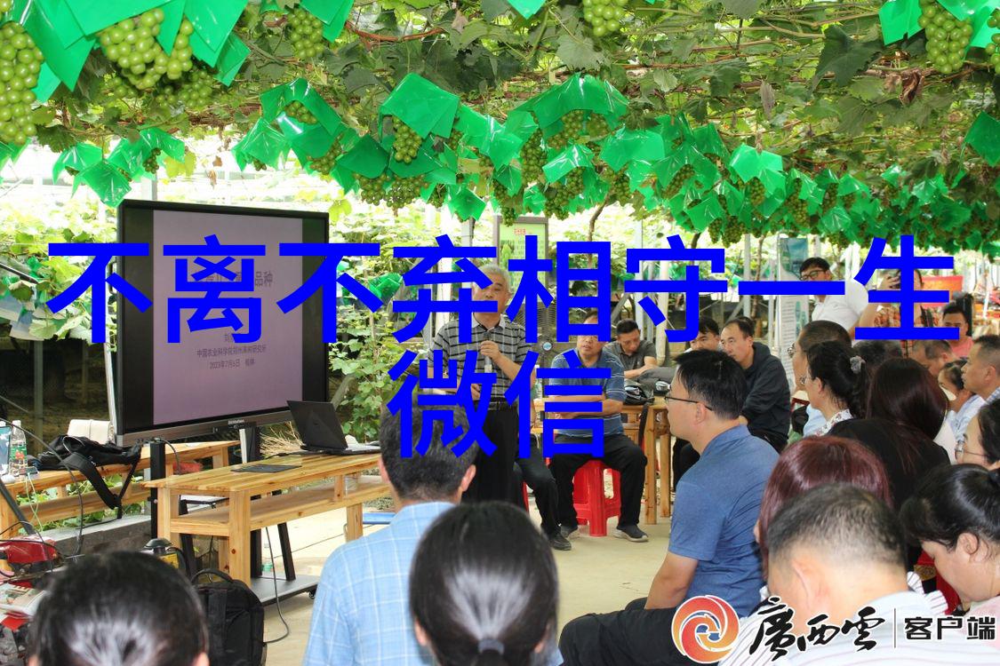 奶凶奶凶可爱的游戏名大赏