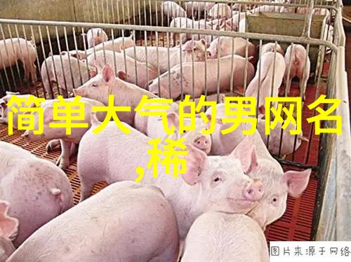 男生经典游戏网名精选在社交网络中引领潮流