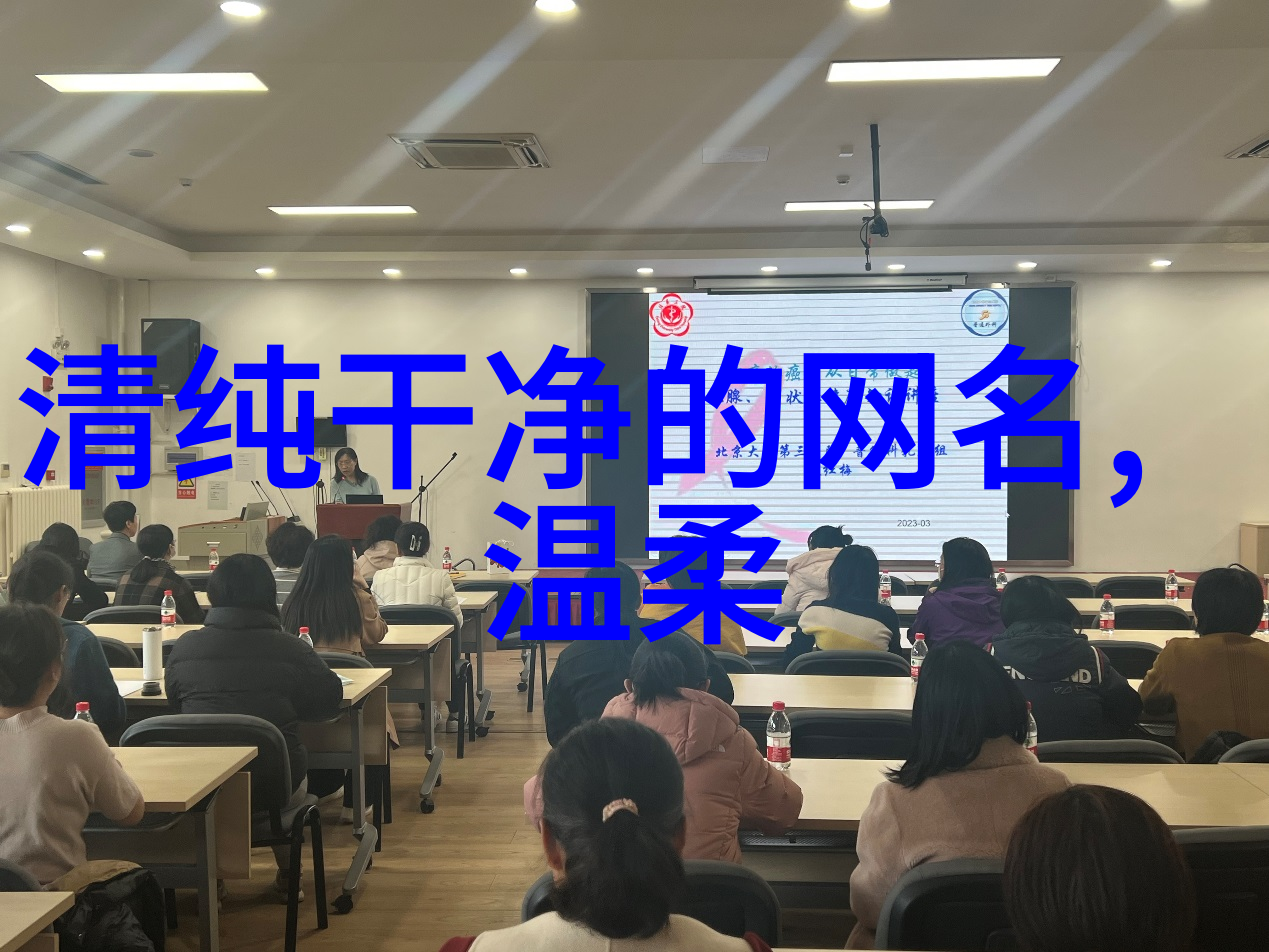 征途网名-虚拟征途选一位网名揭开冒险之旅的序幕