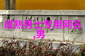 霸气高冷网名追逐独特的网络身份