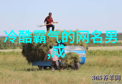 青娱乐极品视觉盛宴 - 色彩斑斓光影交错探秘青娱乐界的视觉艺术
