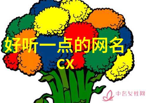 美丽妈妈高清完整中文字幕视频母爱的光辉