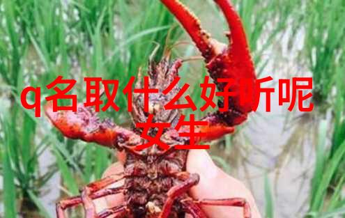 与佛有缘的吉祥微信名文艺浪漫不落俗的网名精选