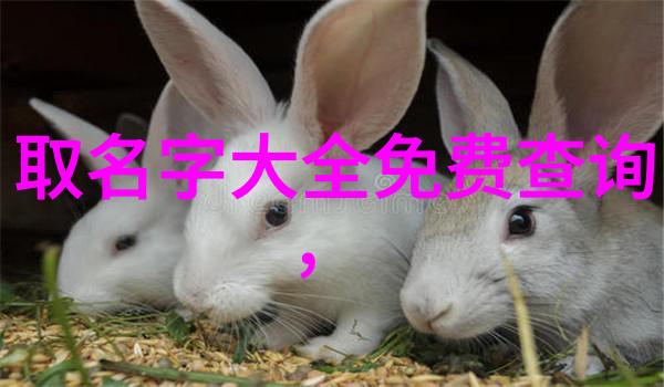 娇妻在我面前被多次辱骂与羞辱的故事