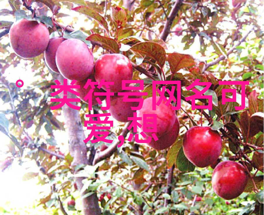 音韵绮丽探索那些如诗般动听的女孩名字