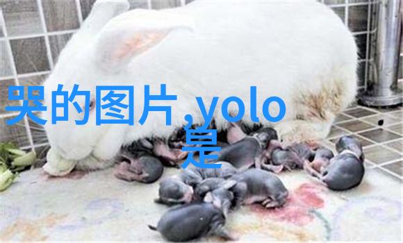 甜蜜情侣网名一对爱的甜语与情感纽带
