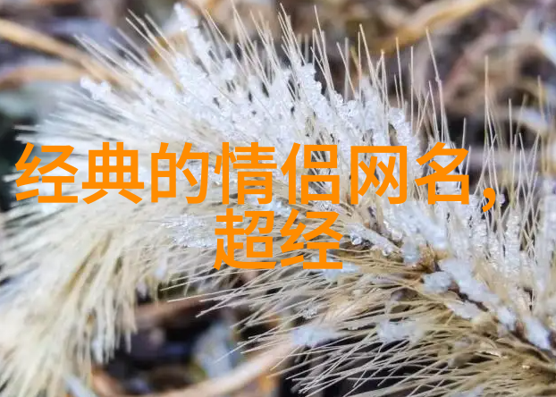 英文网名带符号霸气数理化请爱我呀