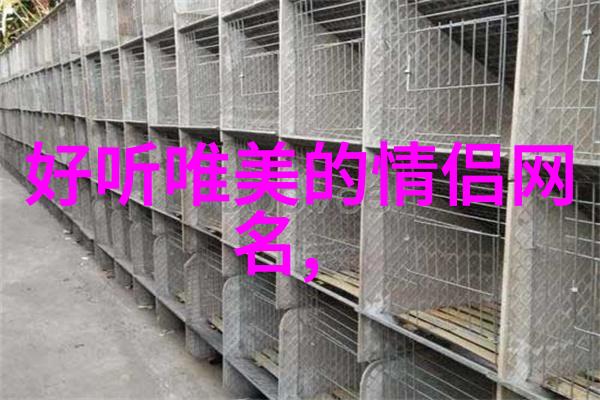 悟空一念三千探秘三字禅意名字的智慧之谜