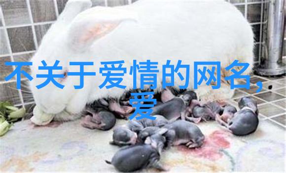 天鹅颈小说慕吱我和那些热爱阅读的朋友们的故事