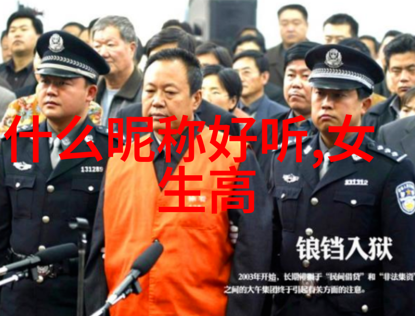 冰山情侣高冷CP背后的浪漫与挑战
