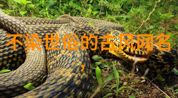 主题我的2020独一无二的游戏名