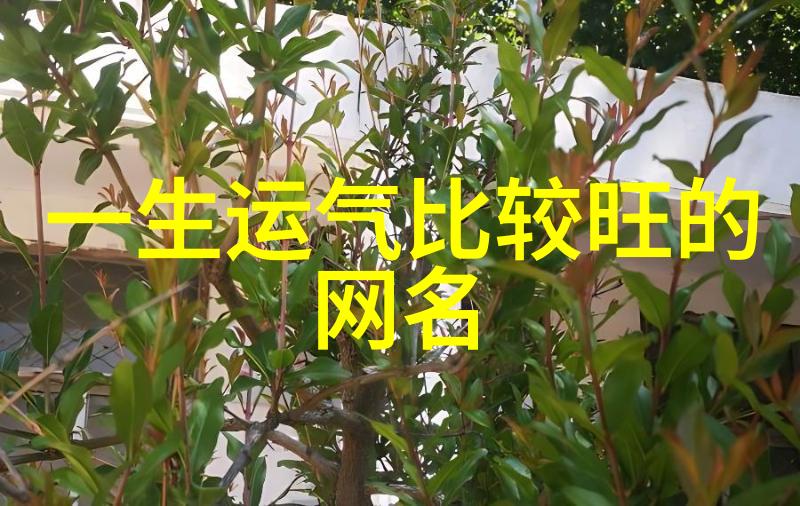 现代食品保鲜技术中的提取罐应用研究创新与挑战