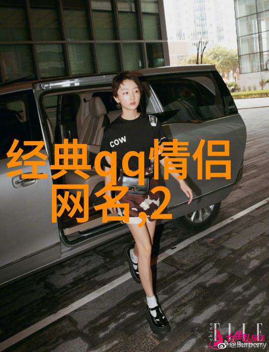爱之网心连心的代表名号与情感故事