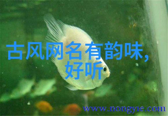 伤感至深撕心裂肺网络用语解析
