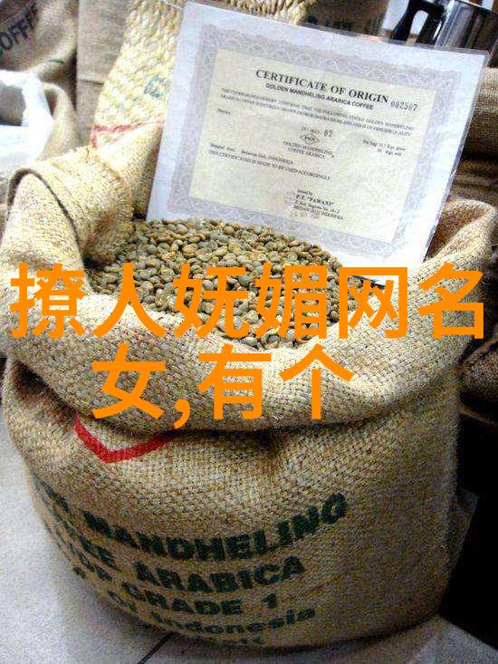 逆袭女王从平凡到璀璨的奇迹
