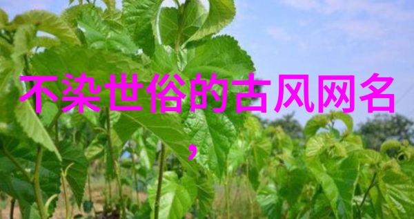 男孩们的网络自我介绍如何选择一款完美的好听帅气网名